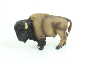 bison white background