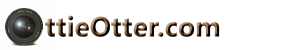 ottieotter logo
